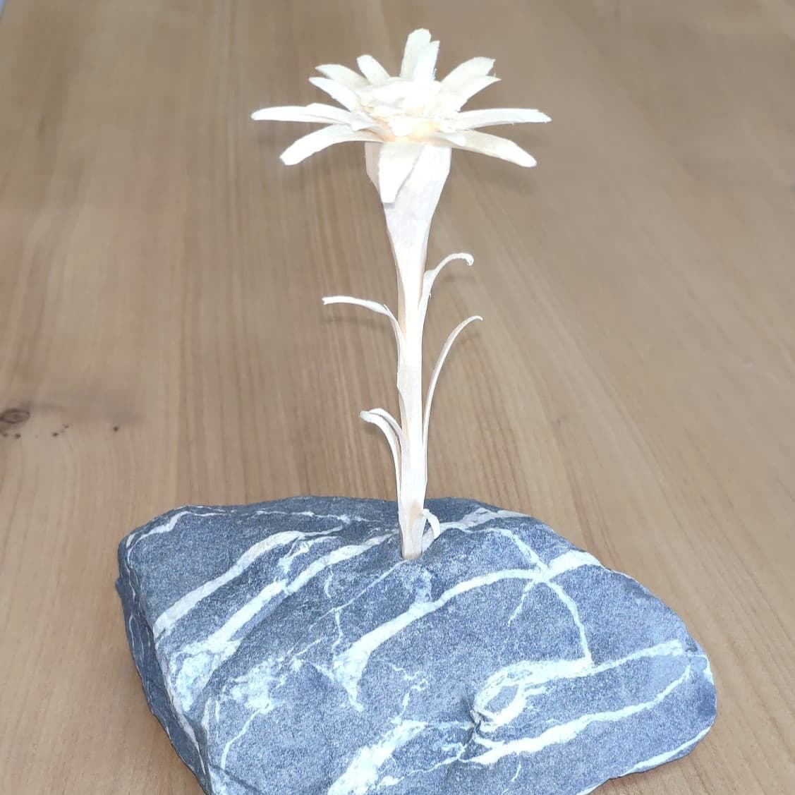 Edelweiss